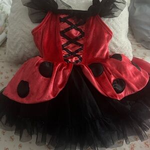 Ladybug Red and Black Kids Costume